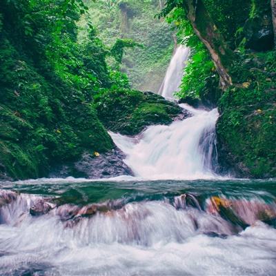 摸金之路果盘版下载